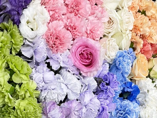 川口市/はじめてのお葬式