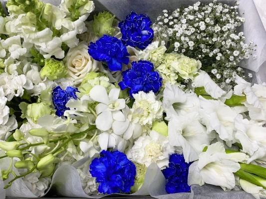 川口市/はじめてのお葬式