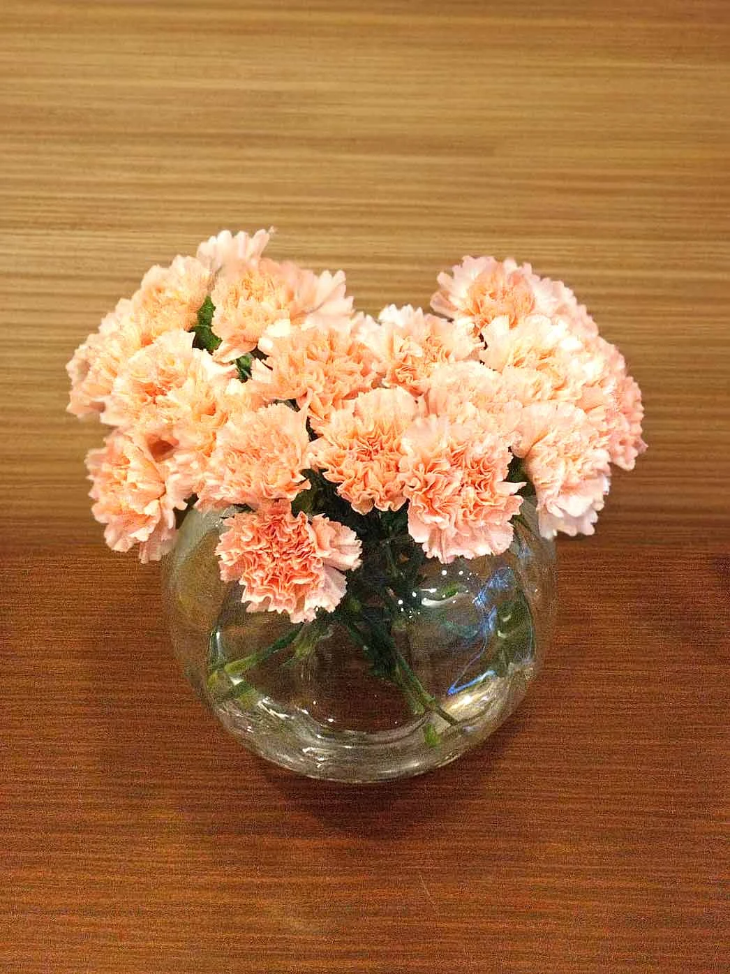 大田区/はじめてのお葬式