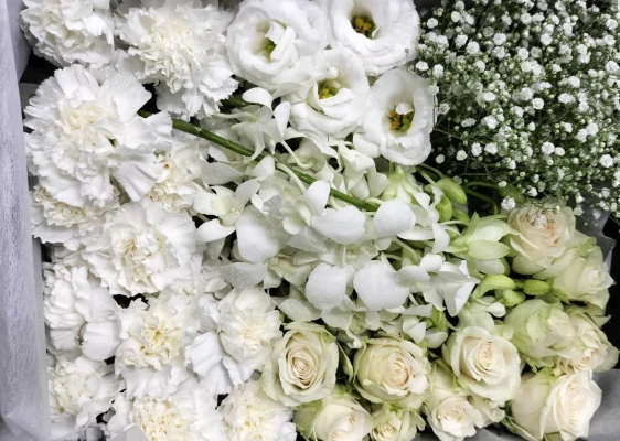 大田区/はじめてのお葬式