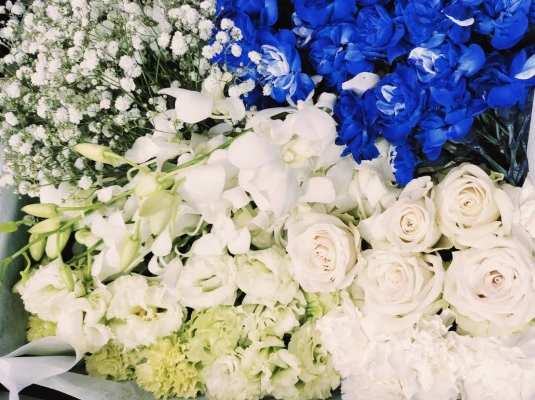 大田区/はじめてのお葬式