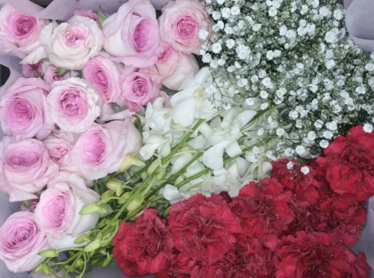 大田区/はじめてのお葬式