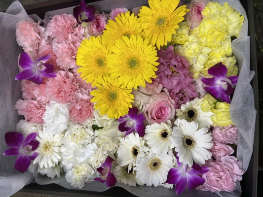 大田区/はじめてのお葬式