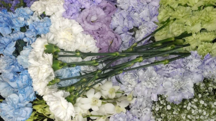 大田区/はじめてのお葬式