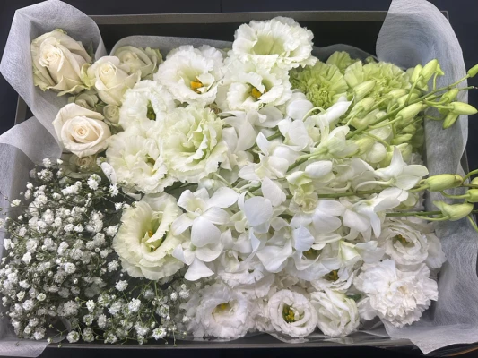 大田区/はじめてのお葬式