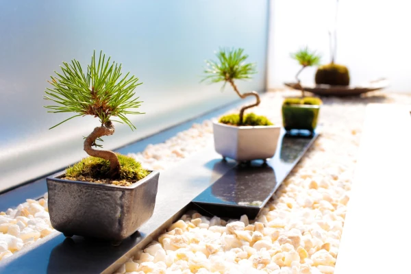 サン・ライフ（ファミリーホール綾瀬）で葬儀を行なった写真