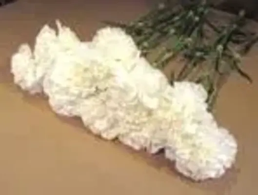 家族葬相談センター 川崎支店で葬儀を行なった写真