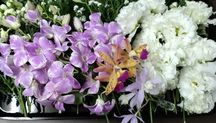 CEREDEAR(セレディア)で葬儀を行なった写真