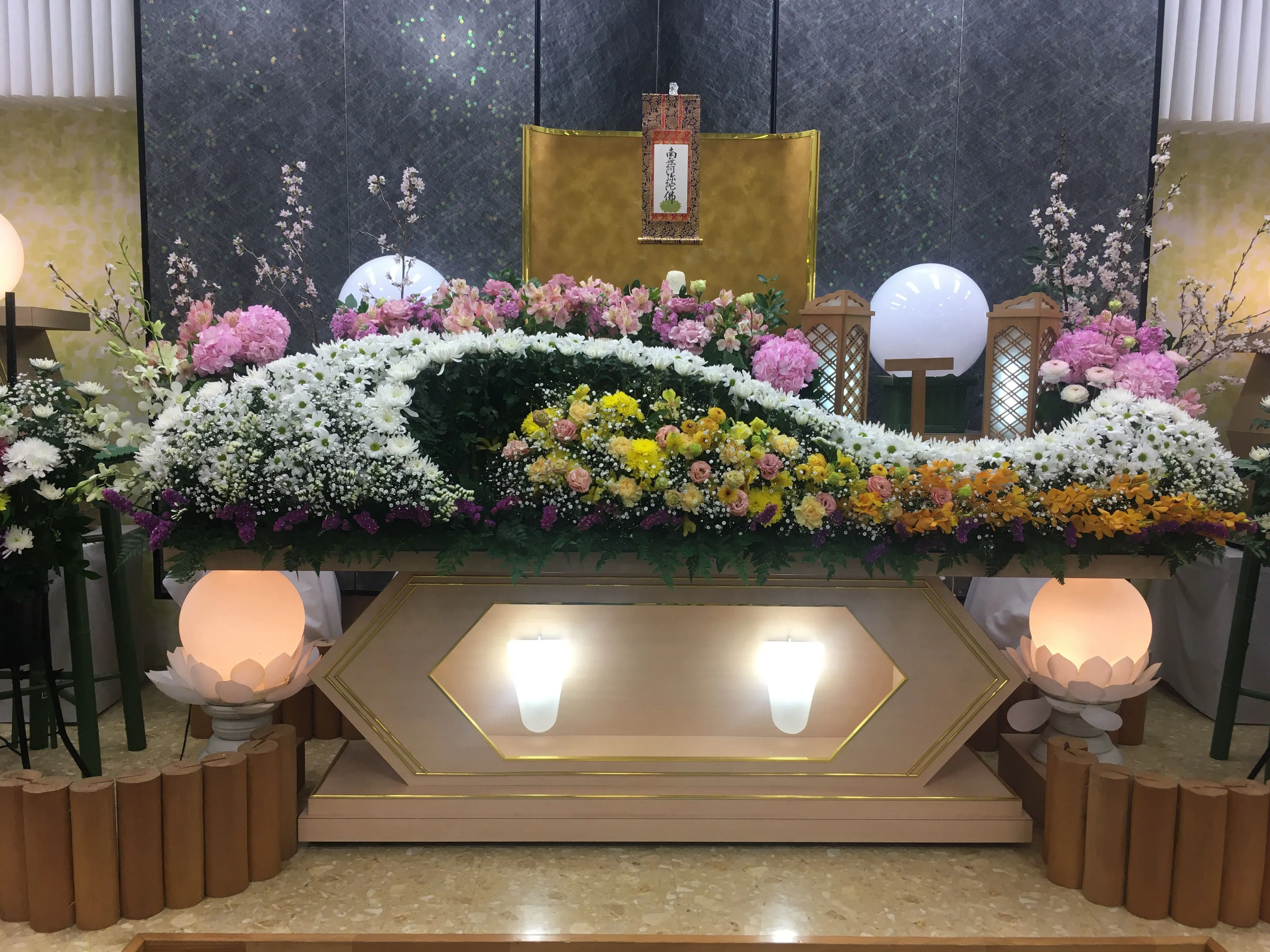 秋桜（ホールとよさと）