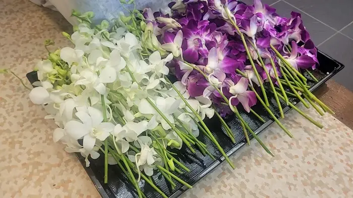 家族葬のそうえんで葬儀を行なった写真