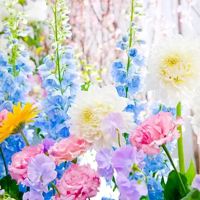 花で彩るお葬式「とむらび」で葬儀を行なった写真