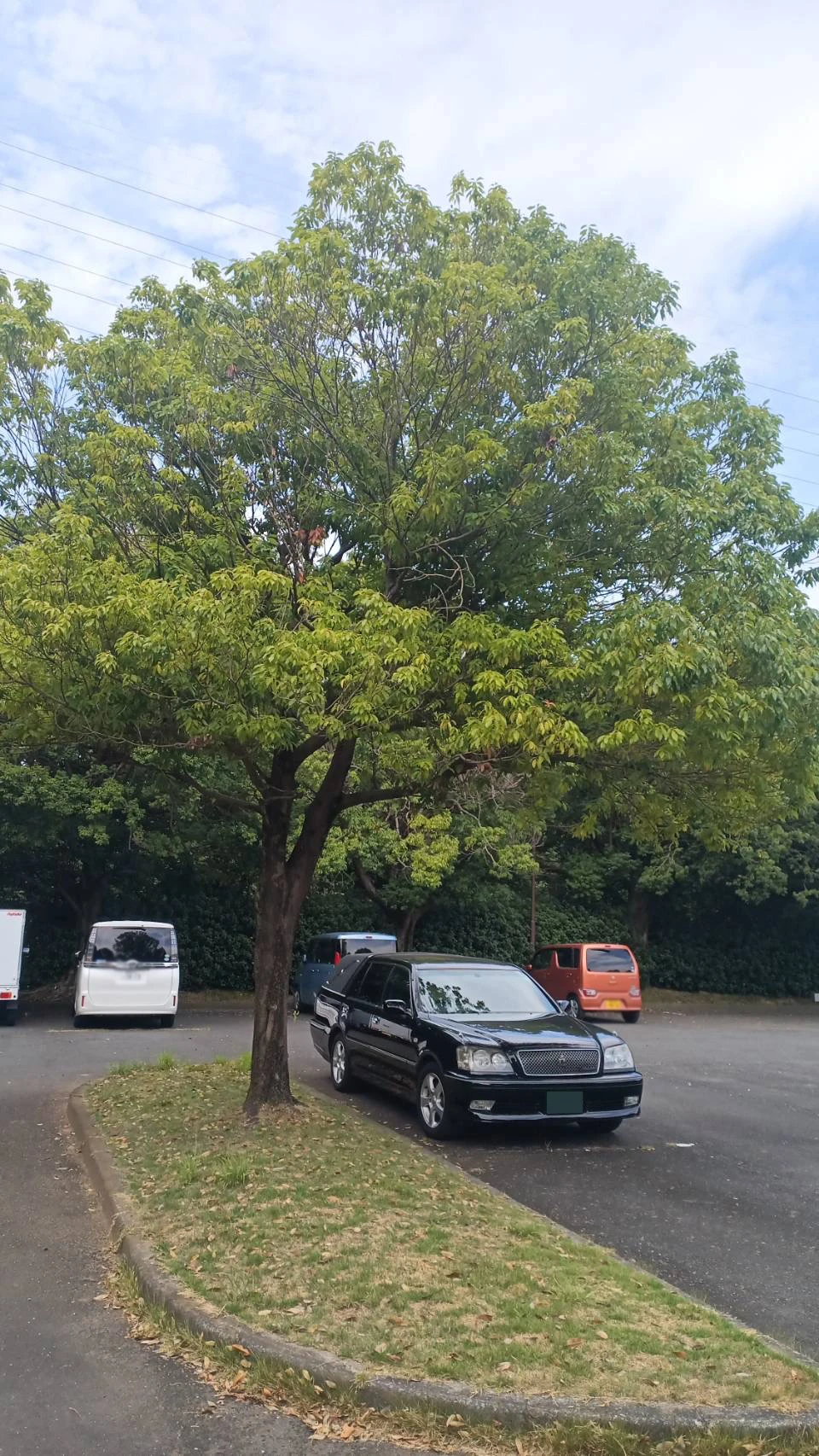 ししくらセレモニー　横浜いずみ事業所