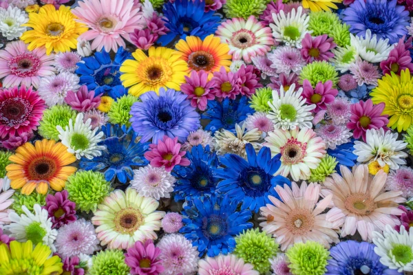 小平直葬葬儀社(家族葬ホール小平小川)