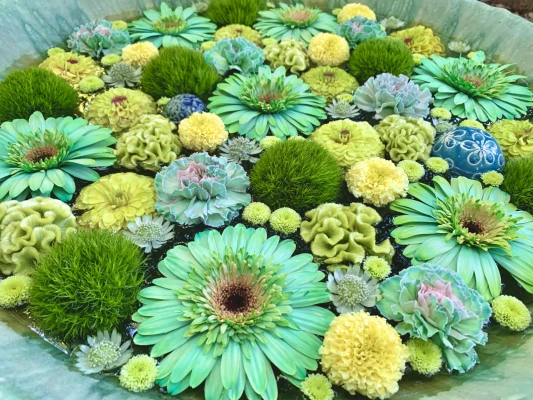 小平直葬葬儀社（家族葬ホール小平小川）