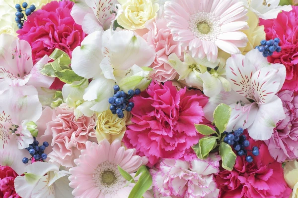 小平直葬葬儀社（家族葬ホール小平小川）