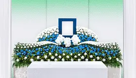 オーダープラン