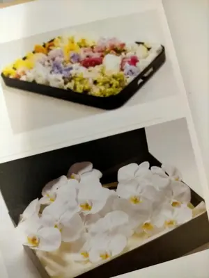 すみだ式典で葬儀を行なった写真
