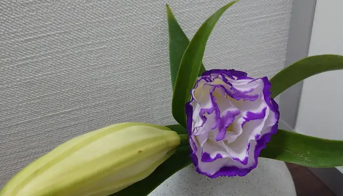 月のあかり家族葬 流山おおたかの森で葬儀を行なった写真