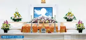 虹プラン45