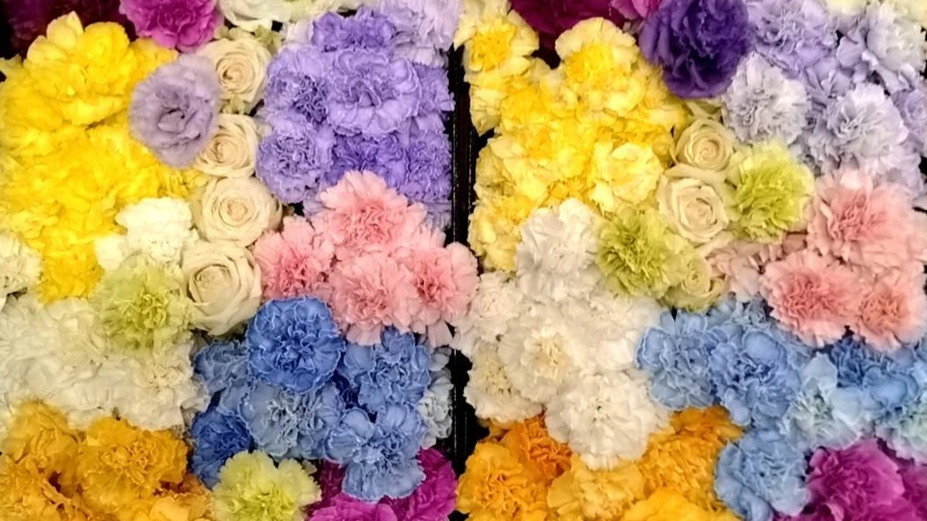 横浜市/はじめてのお葬式