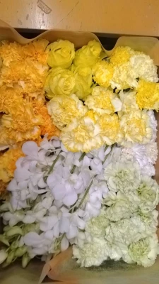 横浜市/はじめてのお葬式