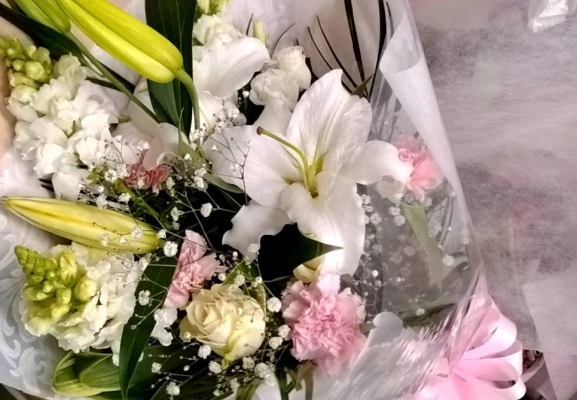 横浜市/はじめてのお葬式