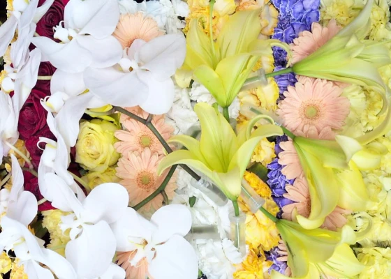 横浜市/はじめてのお葬式