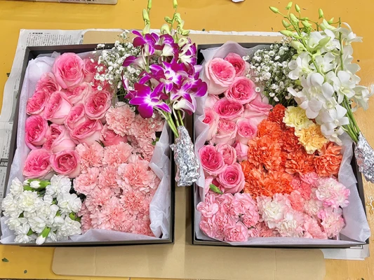 横浜市/はじめてのお葬式