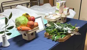 自宅火葬式プラン