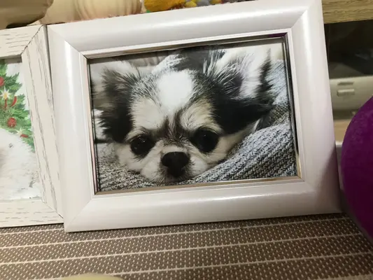 式典葉月で葬儀を行なった写真