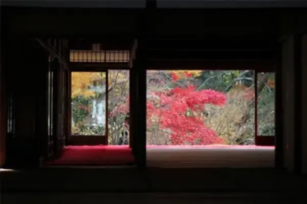 一輪想で葬儀を行なった写真