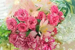 火葬プラン