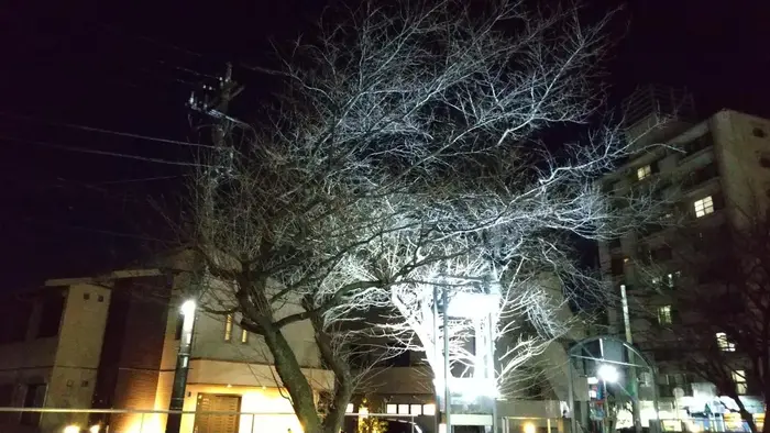 桃源院で葬儀を行なった写真