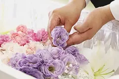 火葬式プラン15