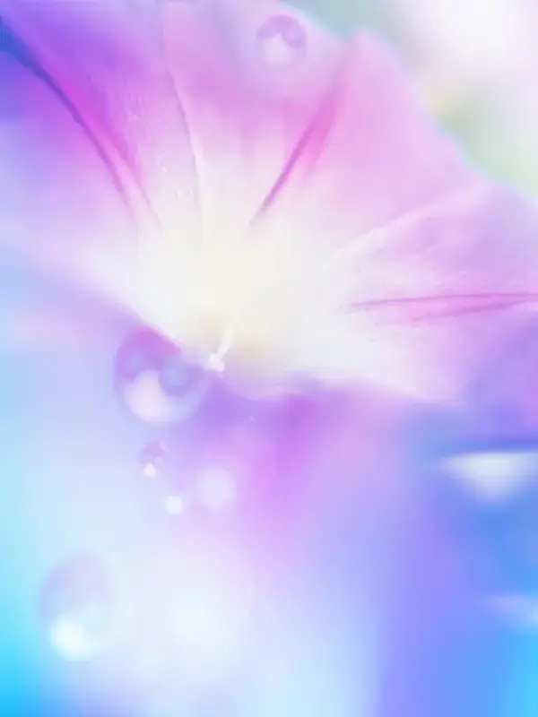 火葬式（炉前読経プラン）