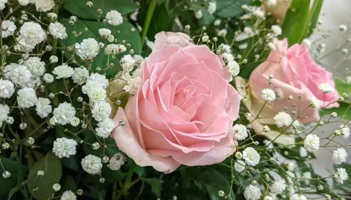 葬儀のともしび　草加営業所