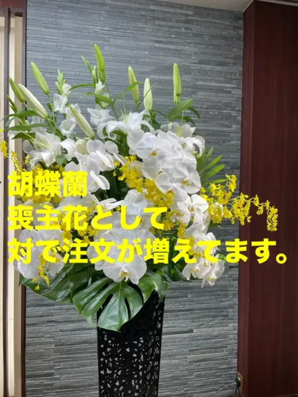 一日葬プラン（10名）