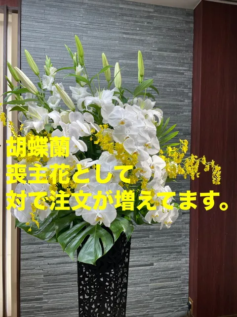 一日葬プラン