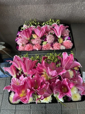 ファイナル・サービス リンク