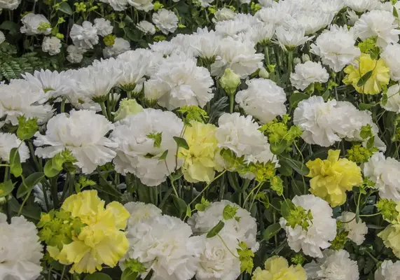 グランセレモ東京（町屋営業所）で葬儀を行なった写真