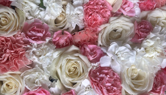 グランセレモ東京(町屋営業所)