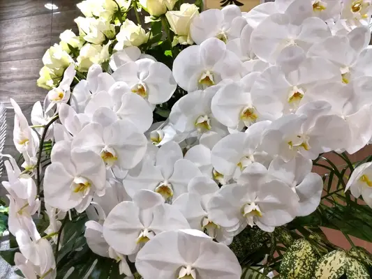 グランセレモ東京（落合営業所）で葬儀を行なった写真