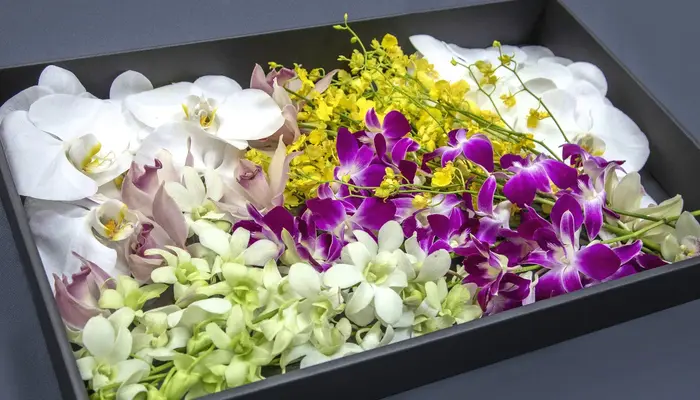 グランセレモ東京（落合営業所）で葬儀を行なった写真