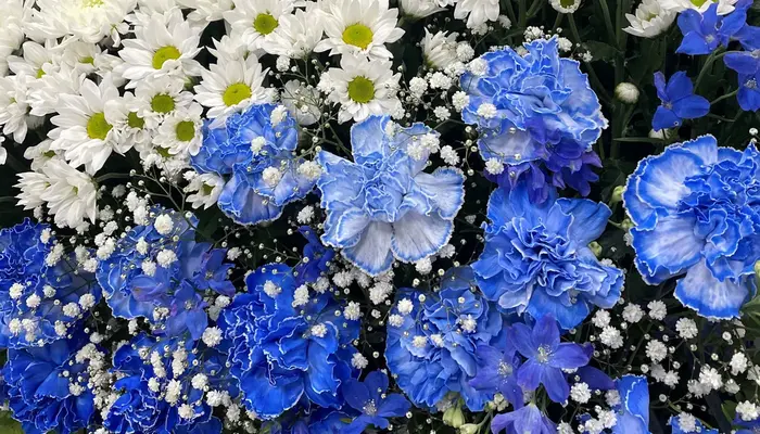 グランセレモ東京（落合営業所）で葬儀を行なった写真