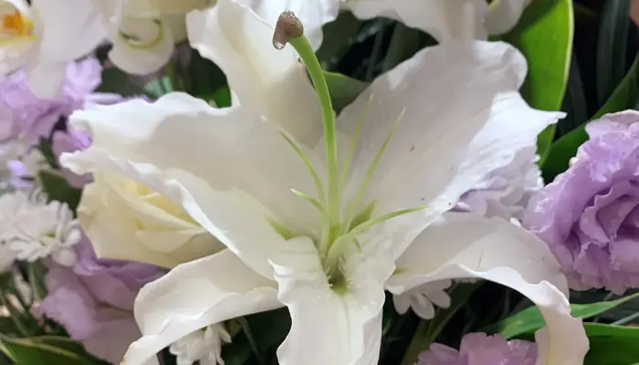 グランセレモ東京（四ツ木営業所）で葬儀を行なった写真