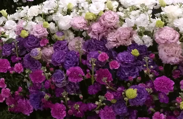 グランセレモ東京（桐ケ谷営業所）で葬儀を行なった写真