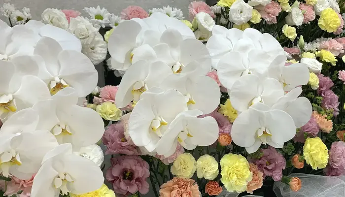 グランセレモ東京（桐ケ谷営業所）で葬儀を行なった写真