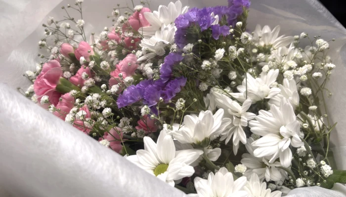 グランセレモ東京（堀ノ内営業所）