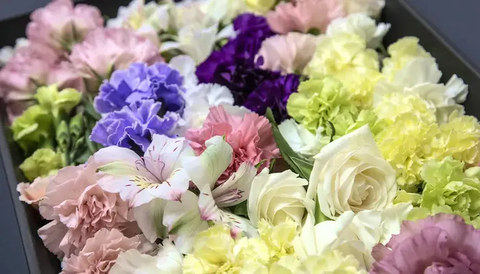 グランセレモ東京（堀ノ内営業所）で葬儀を行なった写真