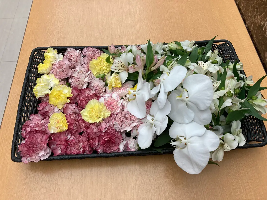 火葬式プラン